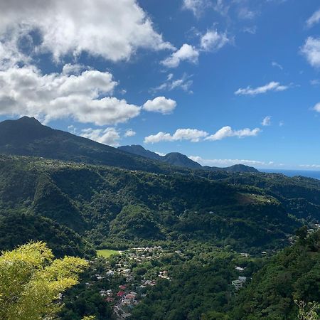 Le Petit Paradis Roseau Buitenkant foto