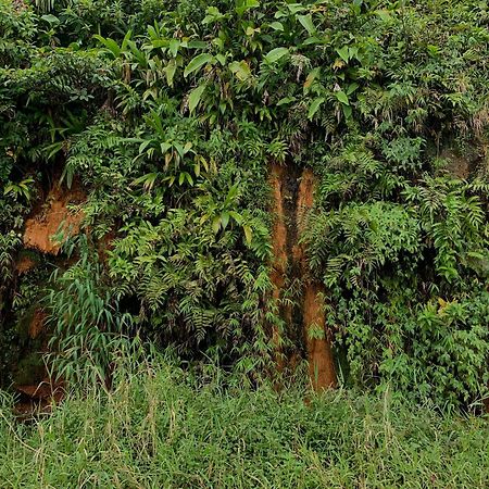 Le Petit Paradis Roseau Buitenkant foto