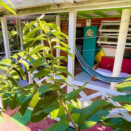Le Petit Paradis Roseau Buitenkant foto