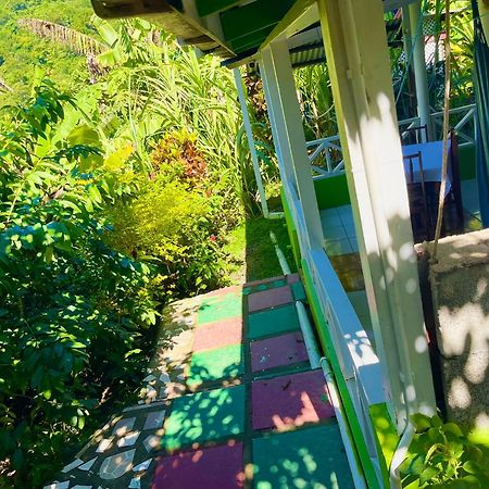 Le Petit Paradis Roseau Buitenkant foto