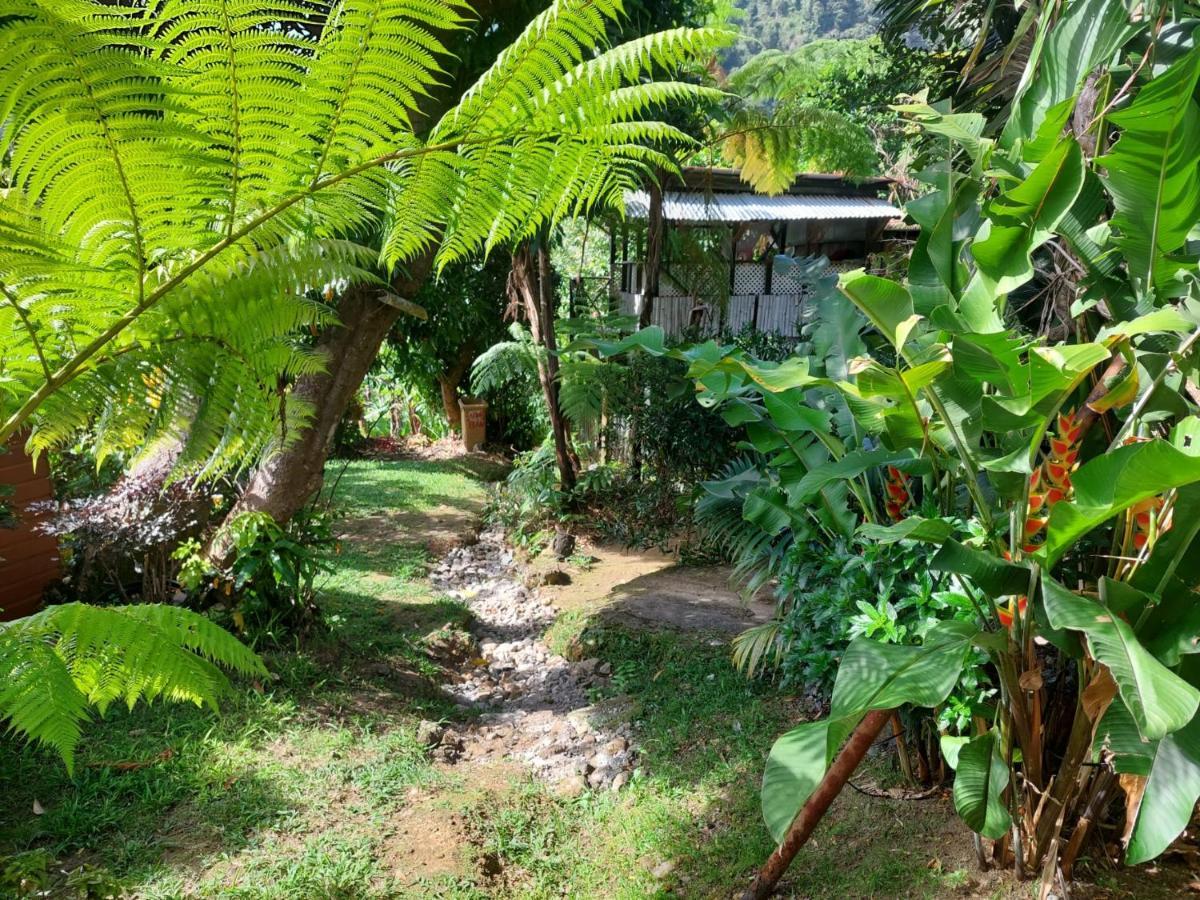 Le Petit Paradis Roseau Buitenkant foto