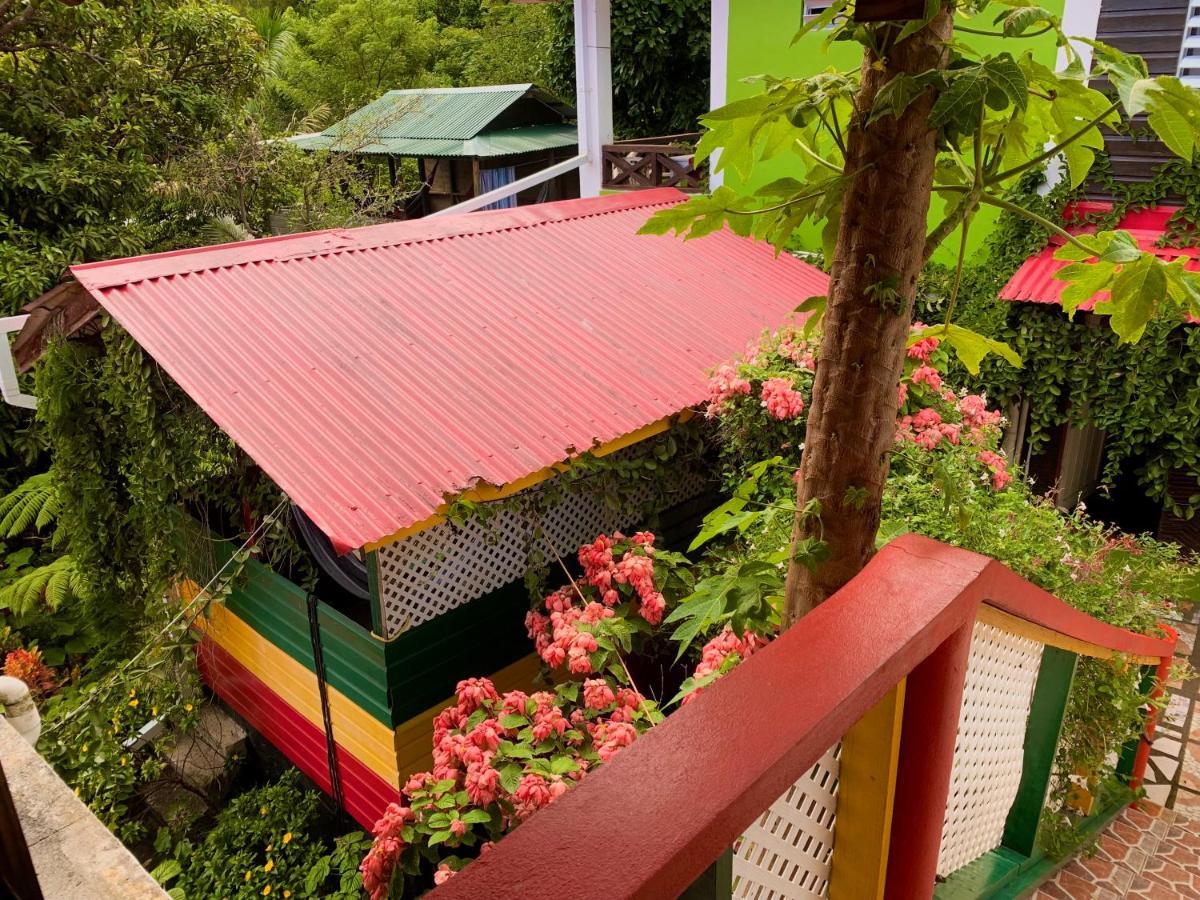 Le Petit Paradis Roseau Buitenkant foto