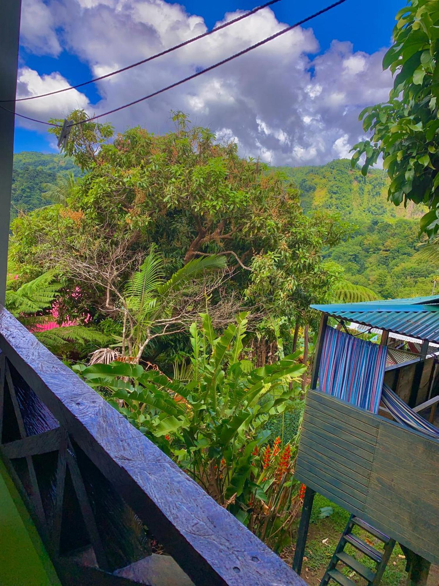 Le Petit Paradis Roseau Buitenkant foto