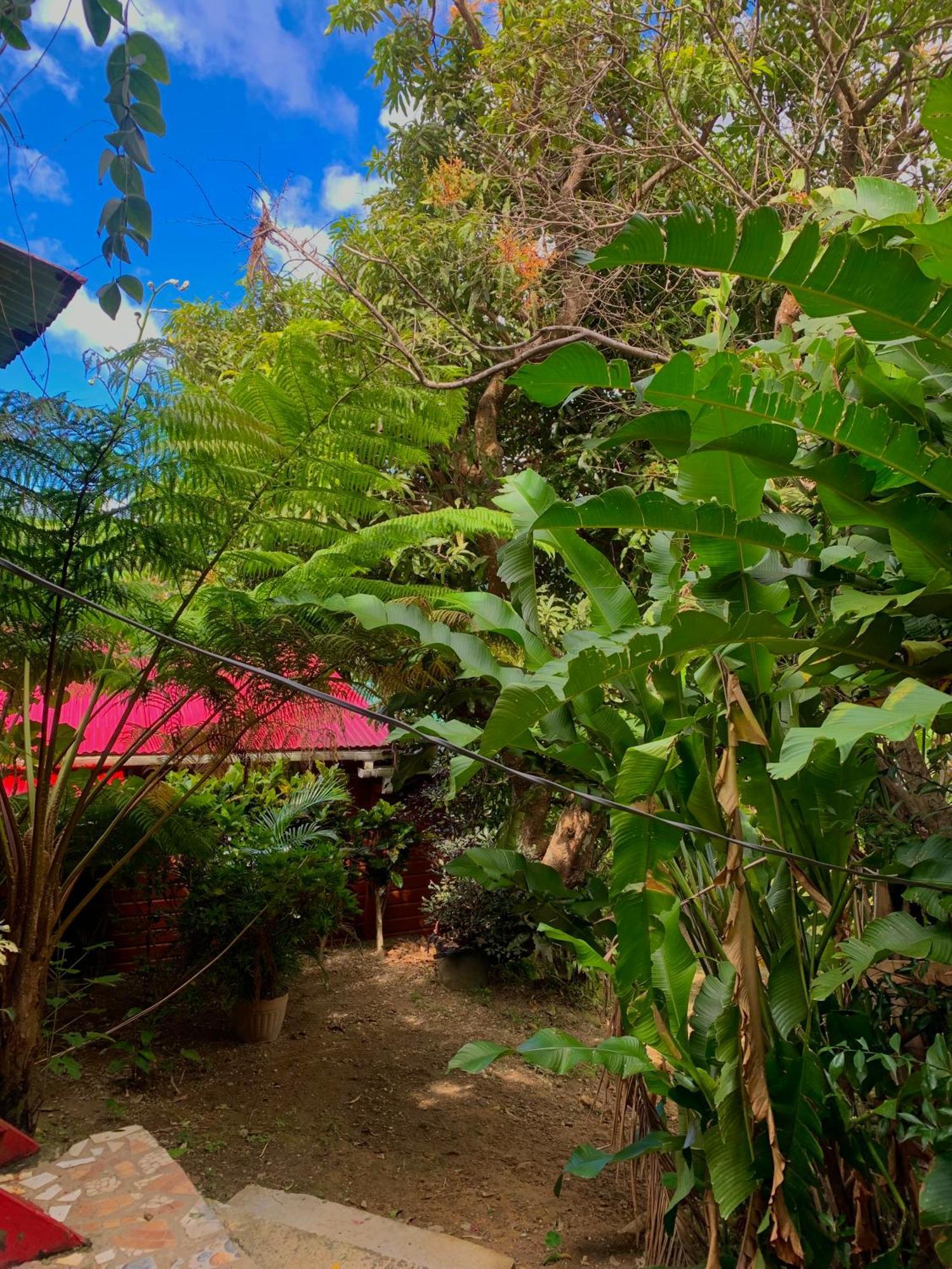 Le Petit Paradis Roseau Buitenkant foto