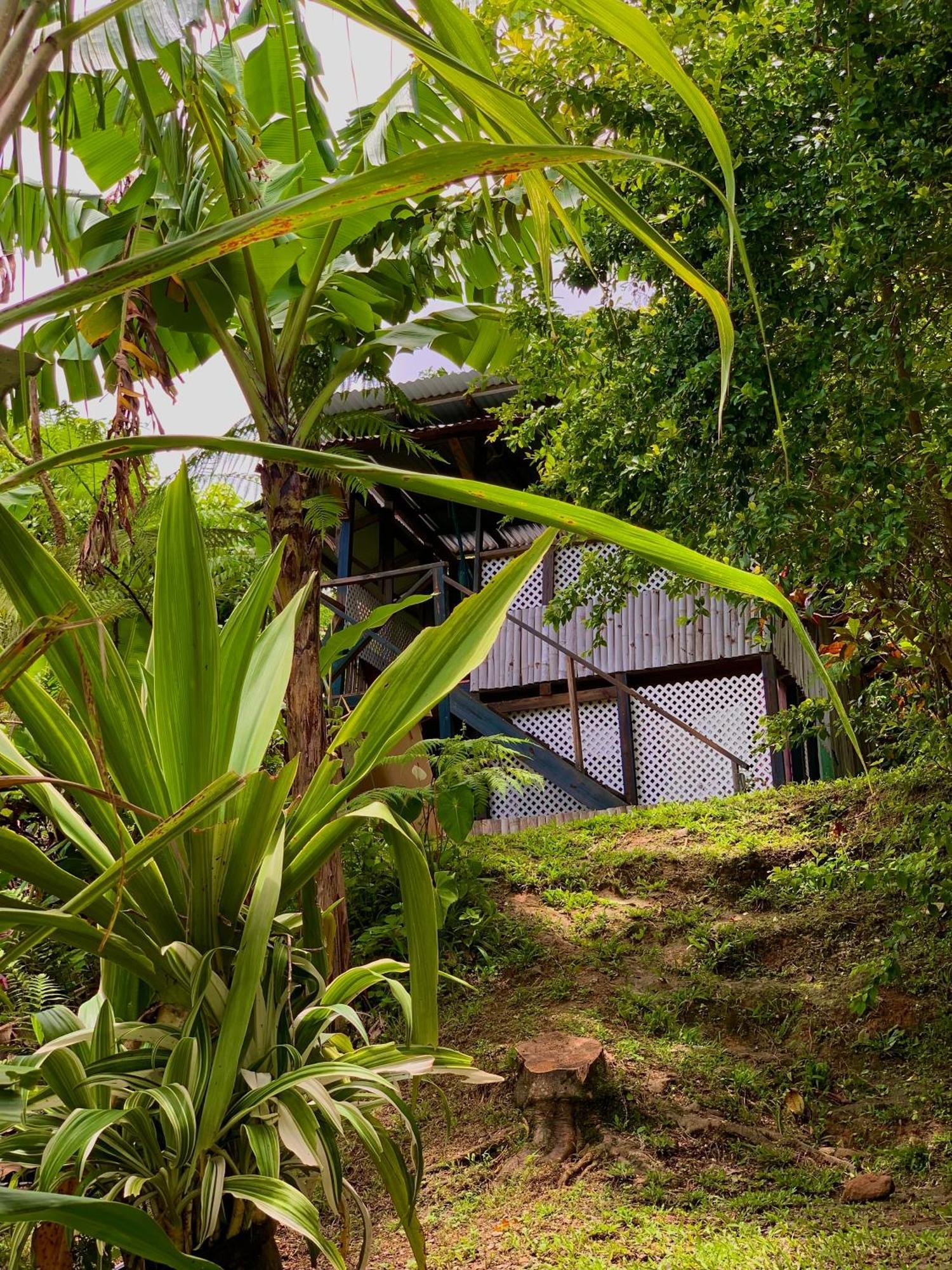 Le Petit Paradis Roseau Buitenkant foto