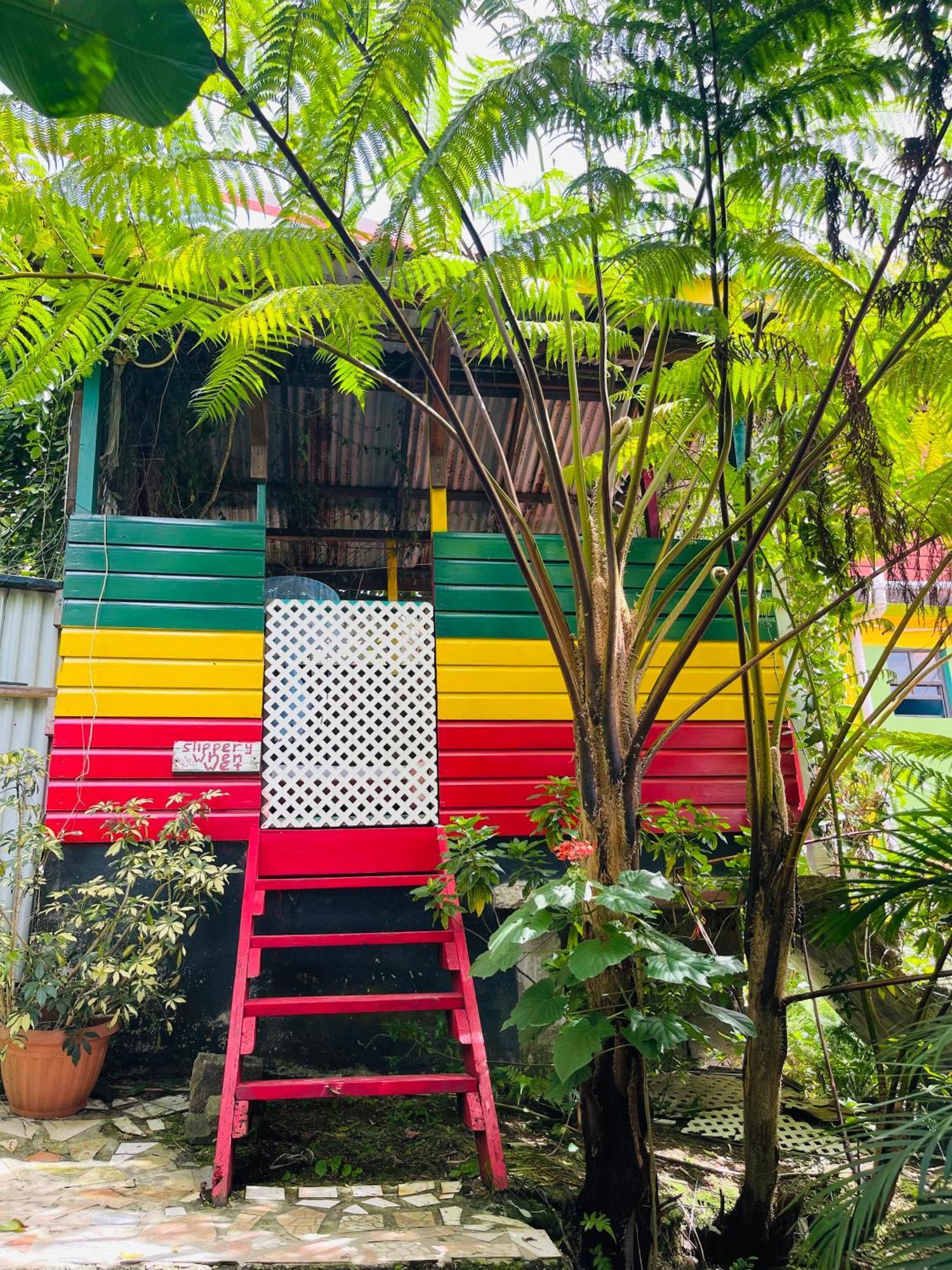 Le Petit Paradis Roseau Buitenkant foto