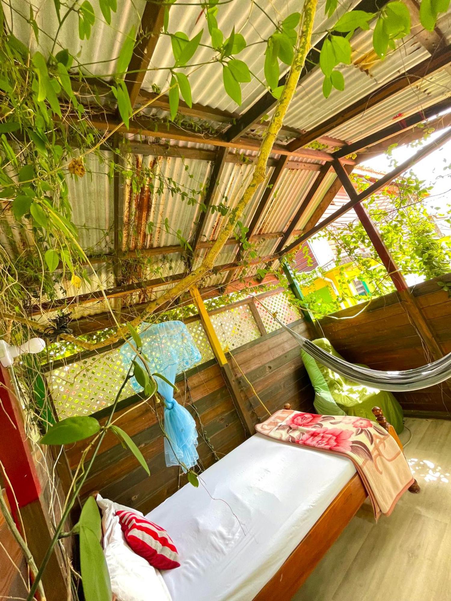 Le Petit Paradis Roseau Buitenkant foto