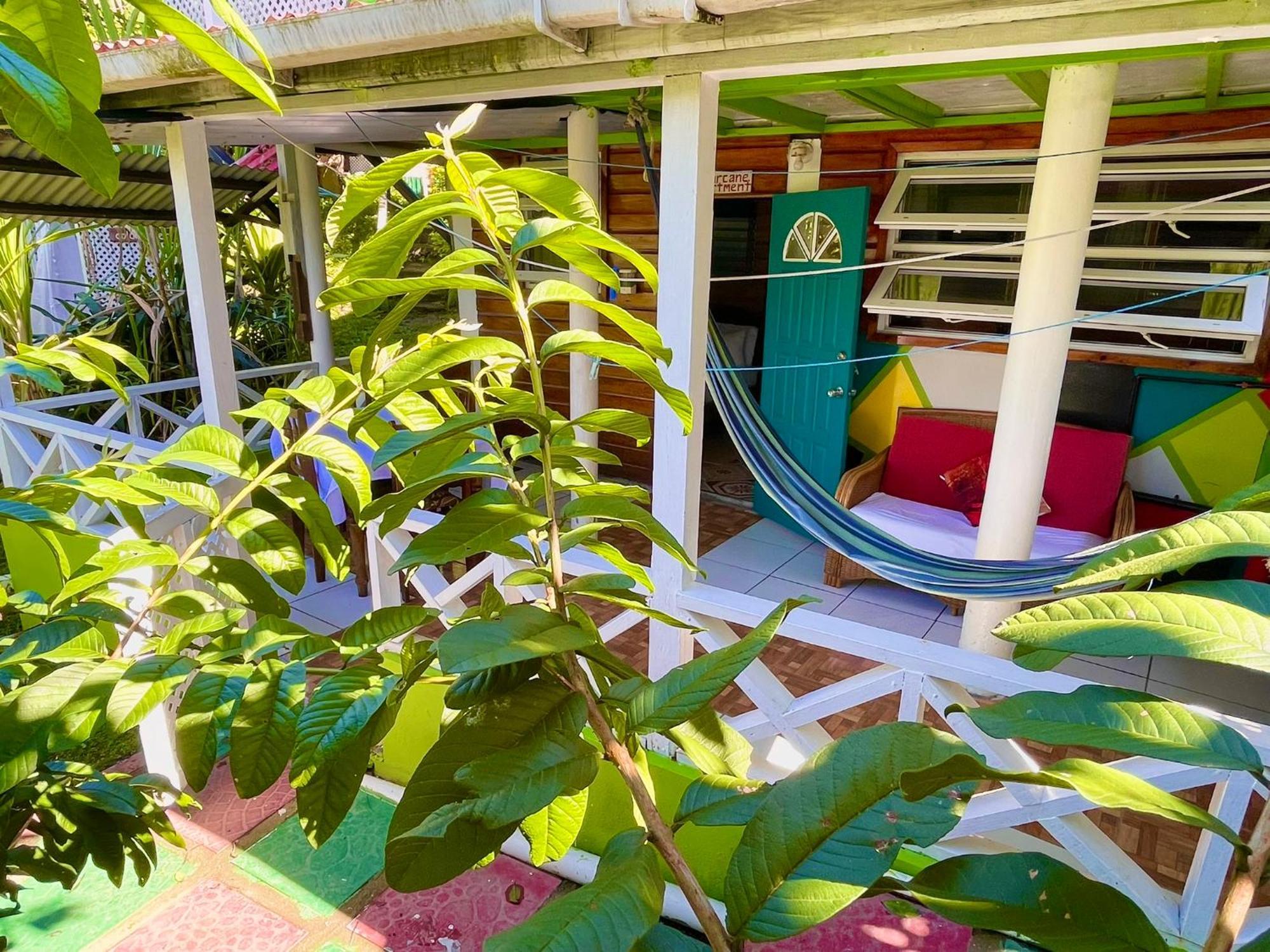 Le Petit Paradis Roseau Buitenkant foto