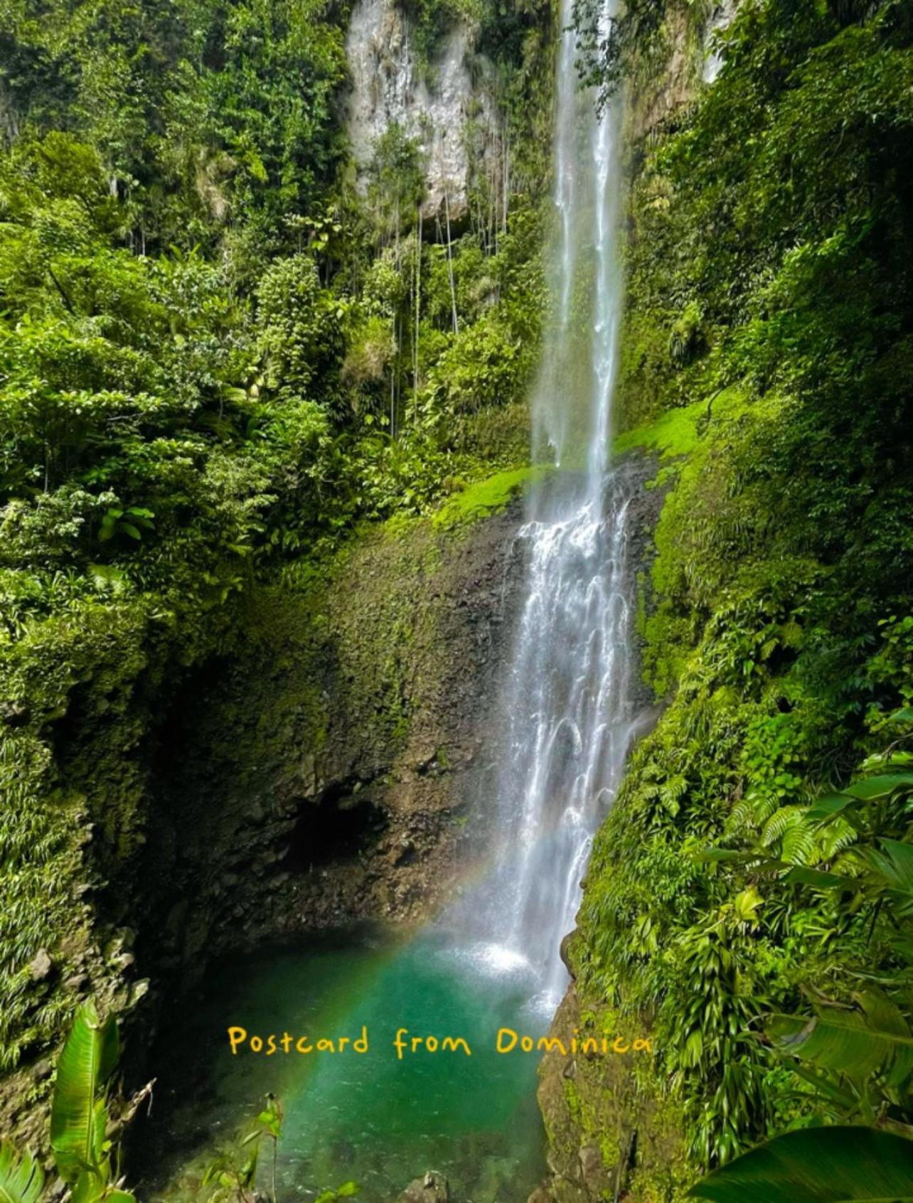 Le Petit Paradis Roseau Buitenkant foto
